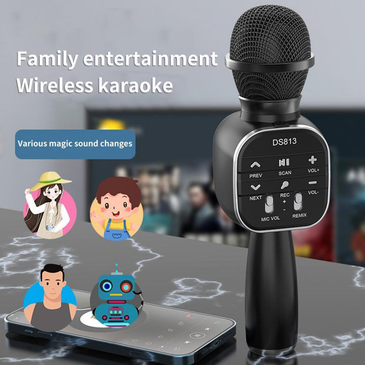 HIFI Wireless Speaker Karaoke Microphone DS813 - Pinoyhyper