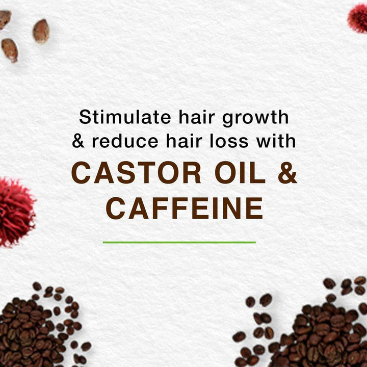 Himalaya Anti-Hair Fall Shampoo Castor + Caffeine - 400g - Pinoyhyper