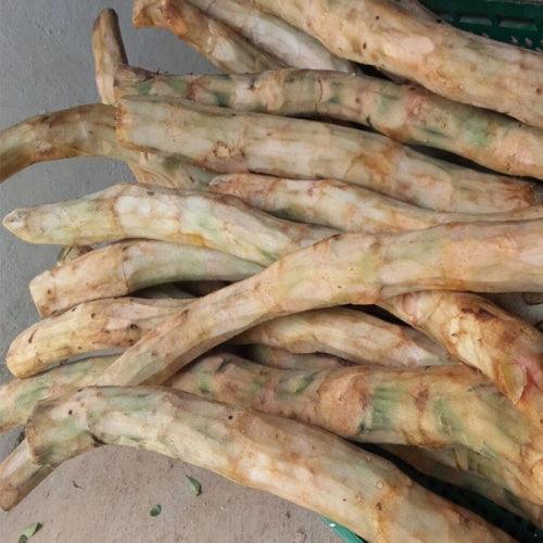 Kohila Ala - 1-4 KG - Pinoyhyper