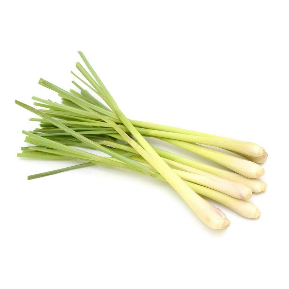 Lemon Grass / Tanglad -Bunch - Pinoyhyper
