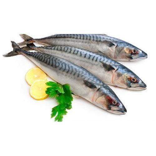 Mackerel Fish 1KG - Frozen - Pinoyhyper