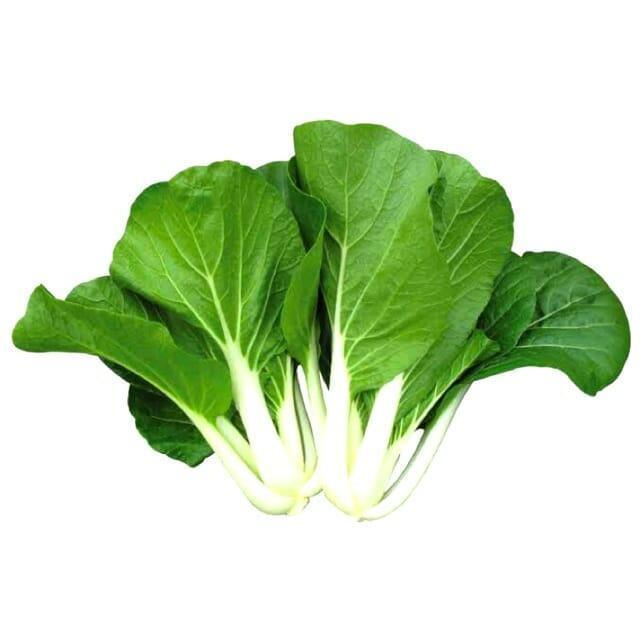 Pechay - Chinese Cabbage - Bunch - Pinoyhyper