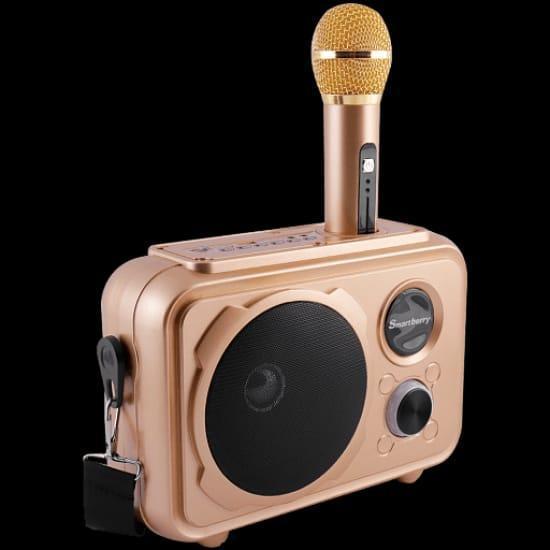 Portable Outdoor Karaoke Speaker with Mic S30 - Pinoyhyper