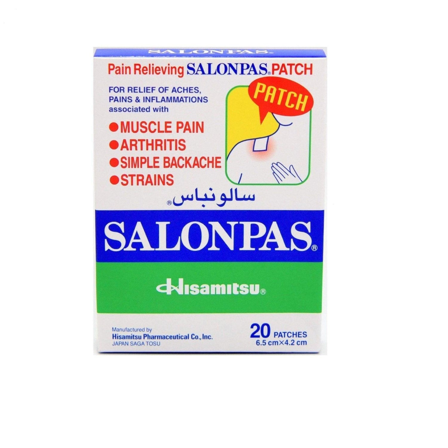 Salonpas Patch 20 Patches 6.5cmX 4.2cm - Pinoyhyper