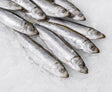 Sardines Fish (Frozen) - 1 KG - Pinoyhyper