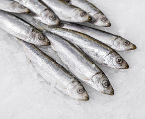 Sardines Fish (Frozen) - 1 KG - Pinoyhyper