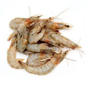 Shell Shrimps Size 40-50 - Frozen - Pinoyhyper