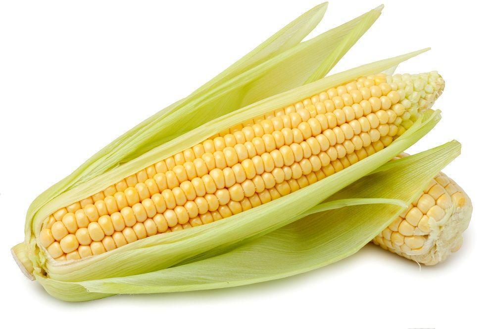 SWEET CORN 500G - Pinoyhyper