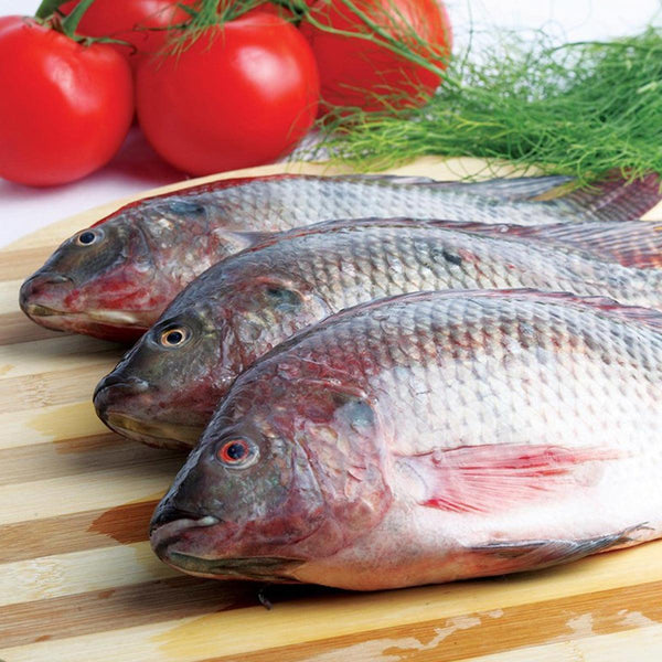 Tilapia Fish Fresh Frozen - 800 to 900 gm - Pinoyhyper