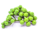 Turkey Berry - Tibattu சுண்டைக்காய் 1-4g - Pinoyhyper