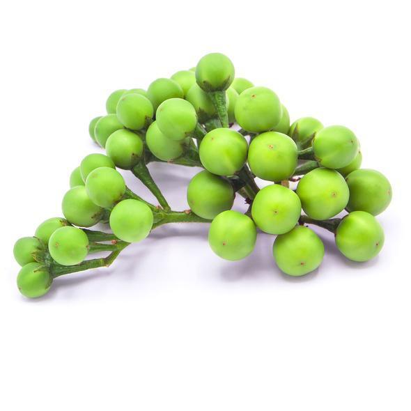 Turkey Berry - Tibattu சுண்டைக்காய் 1-4g - Pinoyhyper