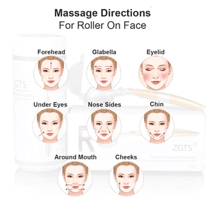 ZGTS Derma Roller Gold Plated Titanium Alloy ZGTS 100 (1.00mm) - Pinoyhyper